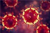 تردید متخصصان درباره میزان مرگبارتر بودن گونه جدید ویروس کرونا