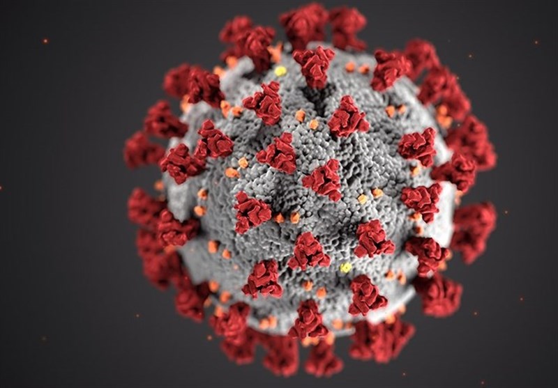 سویه جدید ویروس کرونا در کمتر از ۶ ماه ظهور می‌کند