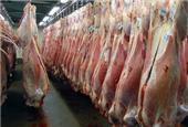 افزایش 27 درصدی عرضه گوشت قرمز در آذرماه