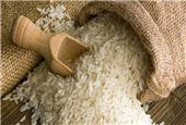 اینفوگرافی/روند افزایش قیمت برنج در یک سال اخیر