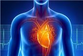 دمای شدید خطر مرگ ناشی از بیماری قلبی را افزایش می‌دهد