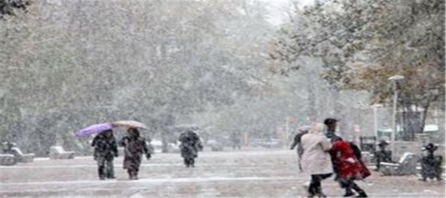 بارش برف و باران تا صبح فردا در تهران/ افزایش نسبی دما تا پایان هفته