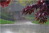بارش‌های بهاری امسال همچنان 24 درصد کمتر از شرایط «نرمال»