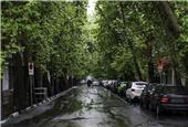 بارش باران در شمال و جنوب ایران/وزش باد شدید در نقاط مختلف کشور