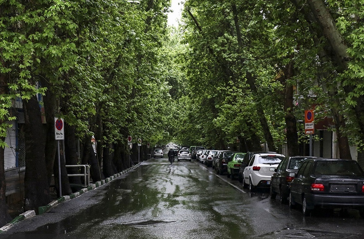 بارش باران در شمال و جنوب ایران/وزش باد شدید در نقاط مختلف کشور